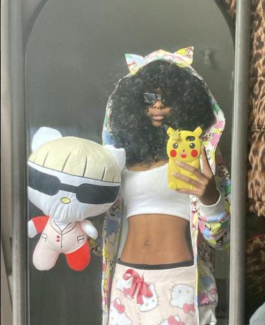 Ty Plush